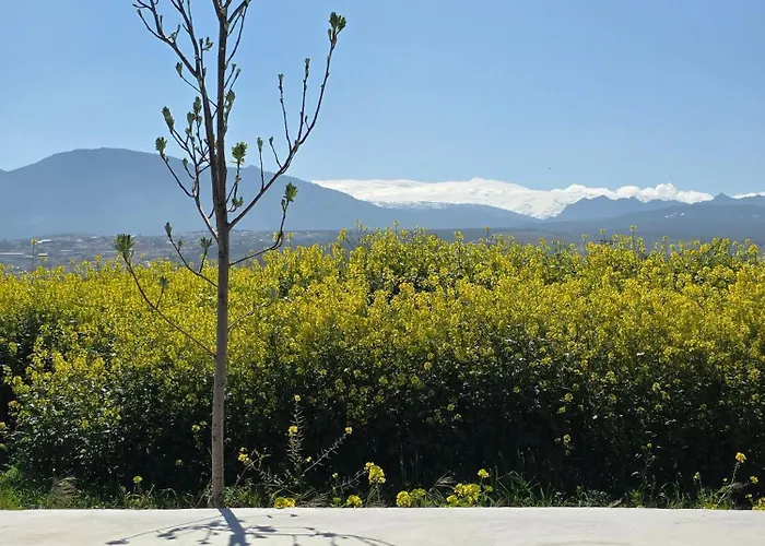 Cortijo De La Seda *