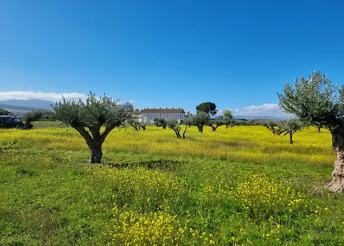 Cortijo De La Seda Casa rural