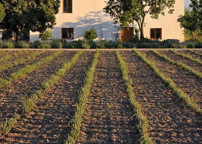 Casa rural Cortijo De La Seda Granada